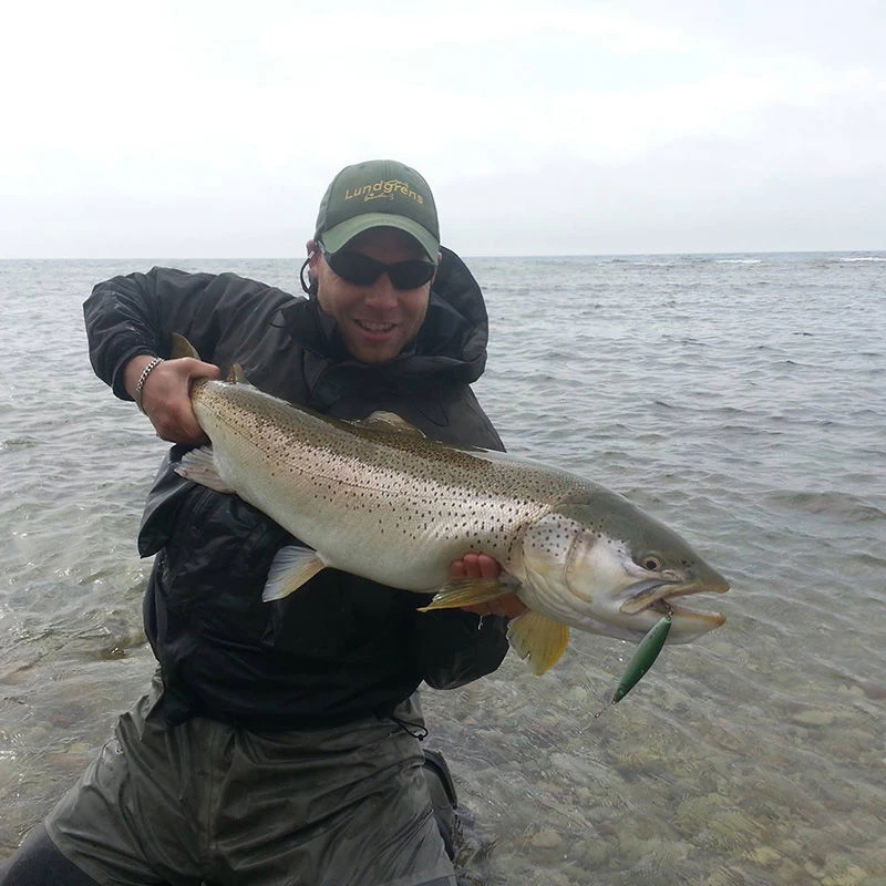 Westin Salty Lures